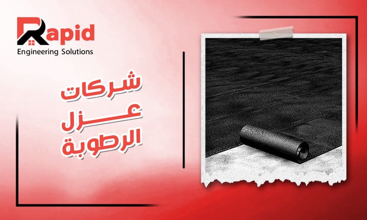 Top Damp Proofing Company 2026 | Expert Waterproofing